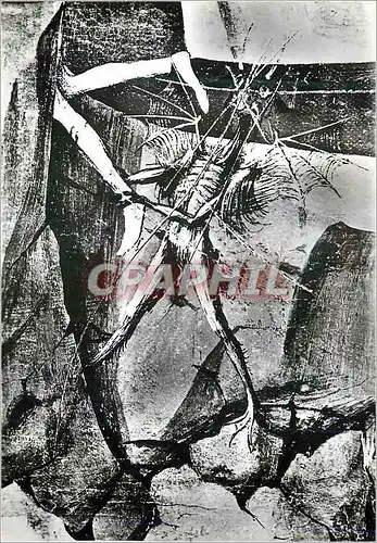 Cartes postales moderne Villeneuve les Avigno Gard (Musee) Enguerrand Charonton (XVe s) Enguerrand Charonton (XVe s) Det