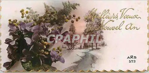 Cartes postales V�ux