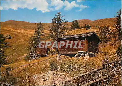 Cartes postales moderne Route des Grandes Alpes Le plus haut village habite d'Europe Saint Veran (H A) Les Alpages