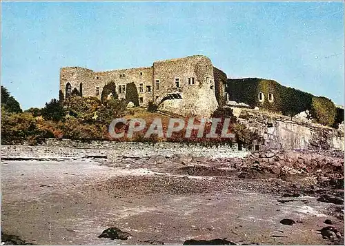 Cartes postales moderne Ch�teau