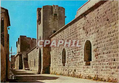 Cartes postales moderne Aigues Mortes (Gard) Les Remparts de la Ville Vue Interieure