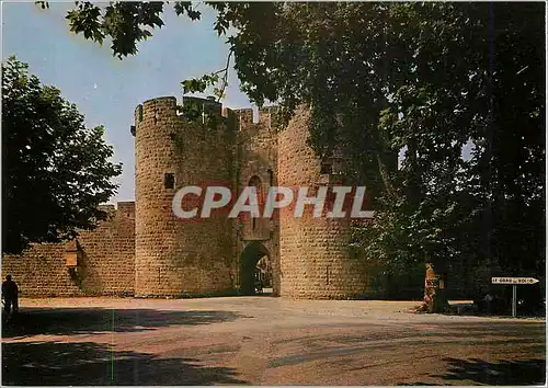 Cartes postales moderne Aigues Mortes (Gard) La Porte de Laguardette