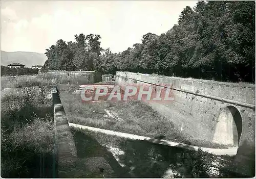 Cartes postales moderne Lucca Le Mura Veduta Esterna