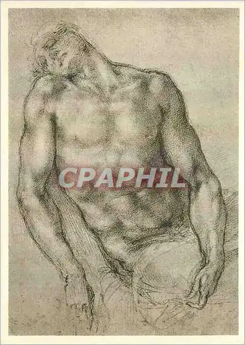 Cartes postales moderne Michelangelo vi Zeichnungen Michelangelo Buonarroti (1475 1564)