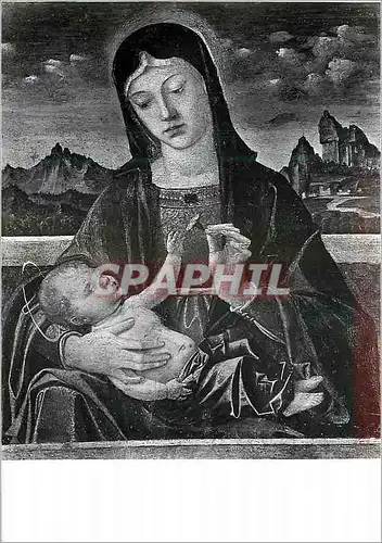 Cartes postales moderne Verona Museo Di Castelvecchio la Vierge a l'Oeillet de Montagne