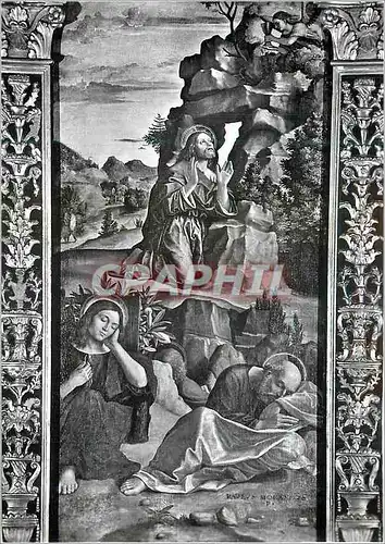 Cartes postales moderne Verona Museo Di Castelvecchio la Priere dans le Jardin