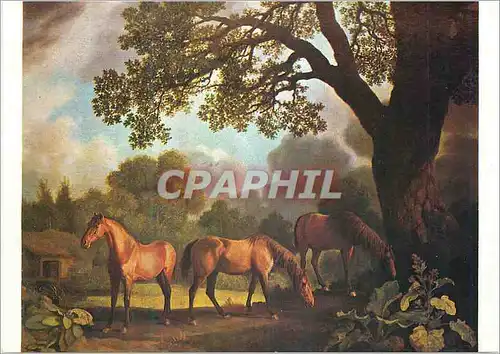 Cartes postales moderne Walker Art Gallery Liverpool a Colt and Two Chestnut Horses