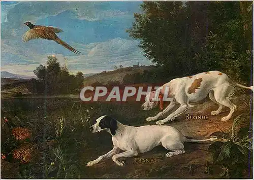 Cartes postales moderne Musee de la Chasse et de la Nature Hote de Guenegaud