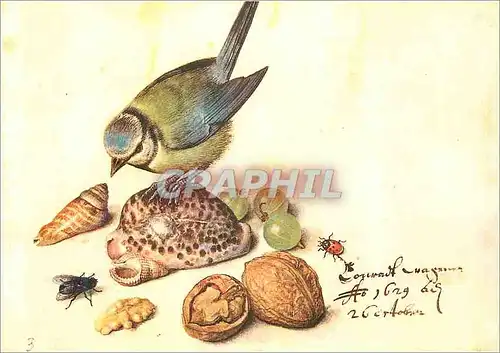Cartes postales moderne Georg Flegel 1563 1638 Nature Morte a la Mesange Bleue