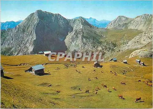 Moderne Karte Queyras Hautes Alpes les Alpages des Chalets de Furfande Pres d'Arvieux