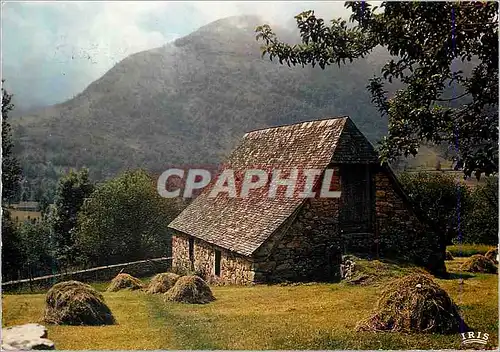 Cartes postales moderne Les Pyrenees une Bergerie