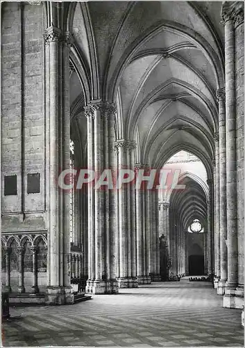 Cartes postales moderne Amiens (Somme) Cathedrale Notre Dame (XIIIe s) Bas Cote Sud