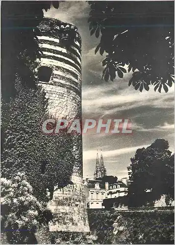 Cartes postales moderne le Chateau d'Angers le Val de Loire vu par Sylvain Knecht