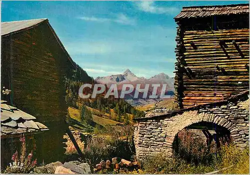 Cartes postales moderne Le Queyras 1570 Vieux Chalet et le Pic de Rochebrune