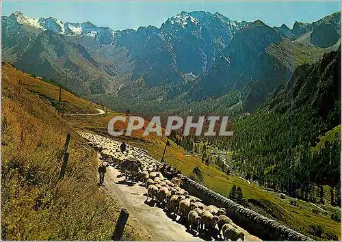 Moderne Karte Saint Veran Altitude 2040 m Transhumance Le Plus Haut Village Habite d'Europe