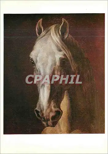 Cartes postales moderne Musee du Louvre Theodore Gericault (1791 1824) Tete de Cheval (1810 1812)