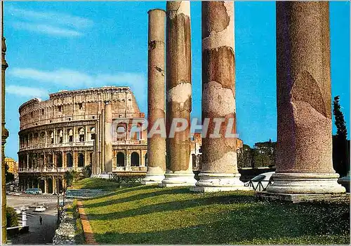 Cartes postales moderne Roma Le Collisee