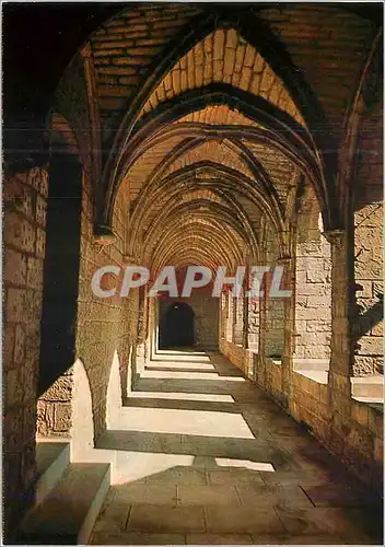 Cartes postales moderne Villeneuve les Avignon Le Cloitre de la Chartreuse