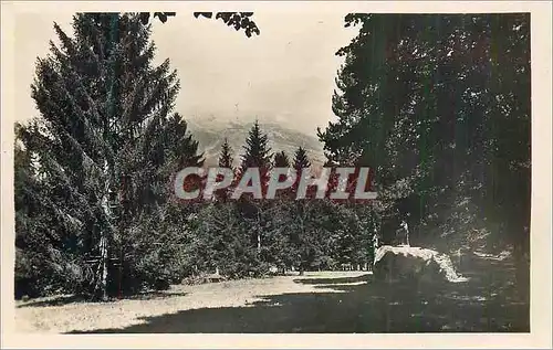 Cartes postales moderne Le Fayet Saint Gervais (Haute Savoie) Un Coin du Parc