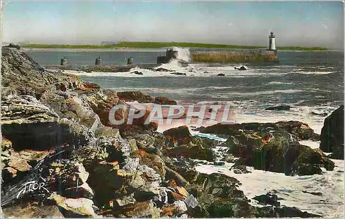 Cartes postales moderne Les Sables d'Olonne (Vendee) Cote Sauvage