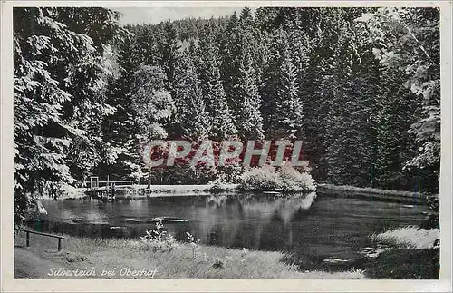 Cartes postales moderne Silberteich Bei Oberhof