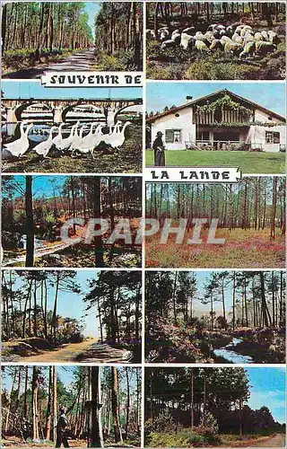 Moderne Karte Souvenir de la Lande