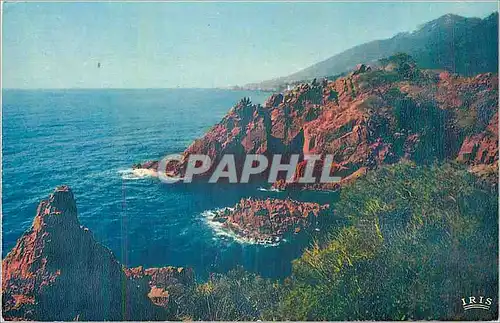 Cartes postales moderne Falaises de la Corniche d'Or La Mediterranee