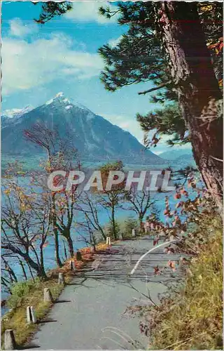 Cartes postales moderne Thunersee mit Niesen