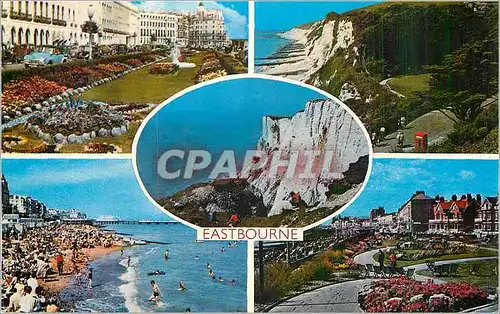 Cartes postales moderne Eastbourne Holywell Royal Parade