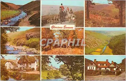 Cartes postales moderne Glorious Exmoor Greetings from Exmor Chasse