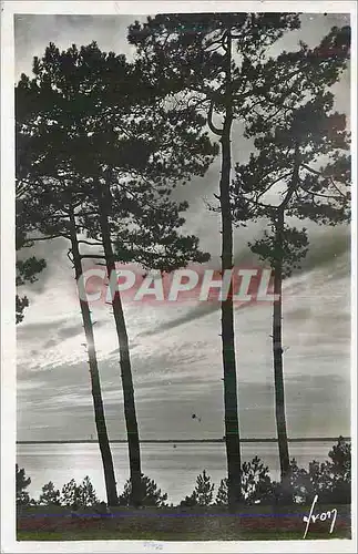 Cartes postales moderne Arcachon (Gironde) Coucher de Soleil sur le Bassin