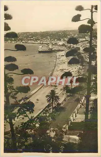 Cartes postales moderne Nice Vue Generale prise du Chateau