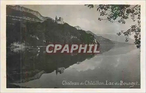 Moderne Karte Chateau de Chatillon Lac du Bourget