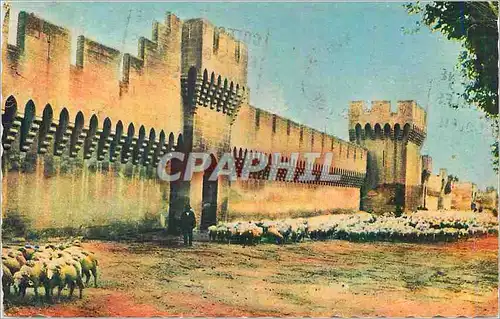 Cartes postales moderne Avignon (Vaucluse) Les Remparts Moutons
