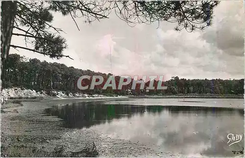 Cartes postales moderne Hossegor (Landes) Les Pins au Bord du Lac Marin