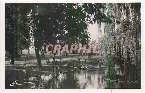 Cartes postales moderne Vichy Les Parcs et les Nouveaux Bassins des Cygnes