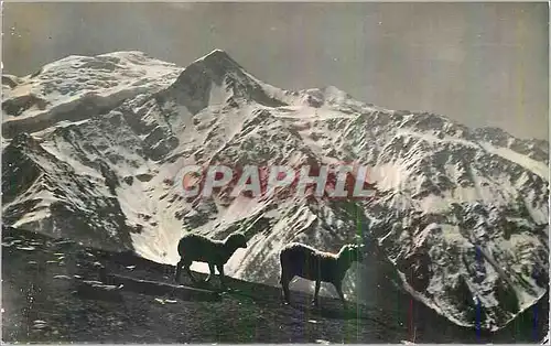 Cartes postales moderne Mont Blanc dans le Grandiose Decor