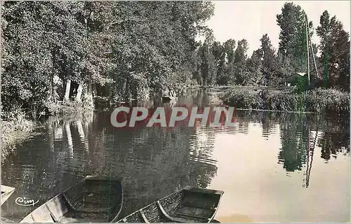 Cartes postales moderne La Garette (Deux Sevres) Le Marais Poitevin Canal de la Garette