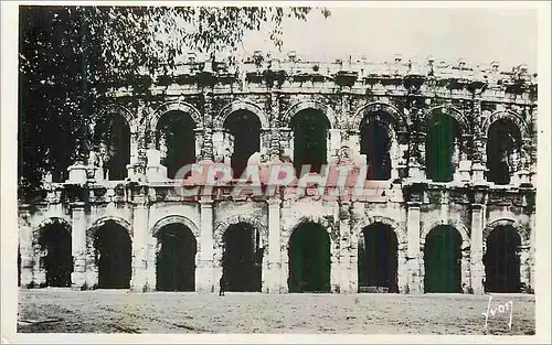 Cartes postales moderne Nimes (Gard) Les Arenes
