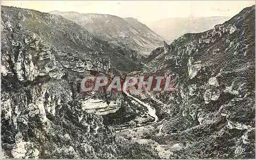 Cartes postales moderne Les Gorges du Tarn Le Point Sublime