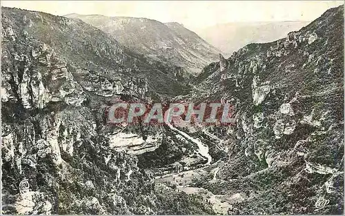 Cartes postales moderne Les Gorges du Tarn Le Point Sublime