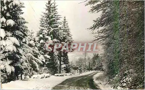 Cartes postales moderne Hauteville Lompnes (Ain) Route de Tenay a Lompnes en Hiver