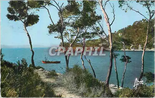 Cartes postales moderne Toulon Cote d'Azur Cap Brun Anse de Mejeon