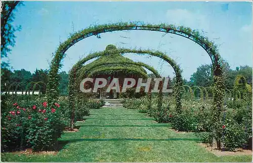 Cartes postales moderne Rose Gardens Elisabeth Park Hartford Conn During june and July
