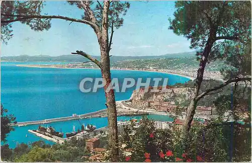 Cartes postales moderne Nice Vue prise du Mont Boron