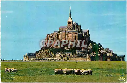 Cartes postales moderne Le Mont Saint Michel Les Pres Sales
