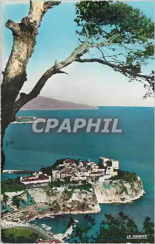 Cartes postales moderne Monaco Le Rocher et Vue Sur L'Italie
