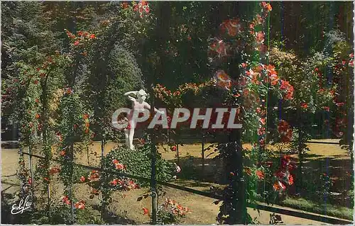 Cartes postales moderne Les Beaux Jardins de Toulouse La Roseraie du Jardin des Plantes