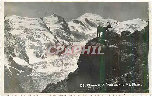 Cartes postales moderne Chamonix Vue sur le Mont Blanc Chevre