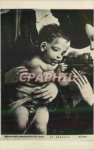 Cartes postales moderne Bologna Domenico Filippino Lippi